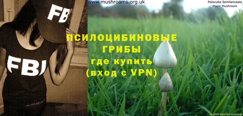 Галлюциногенные грибы MAGIC MUSHROOMS  Оса 